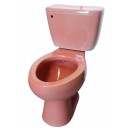 Mexican ELONGATED TOILET Pink